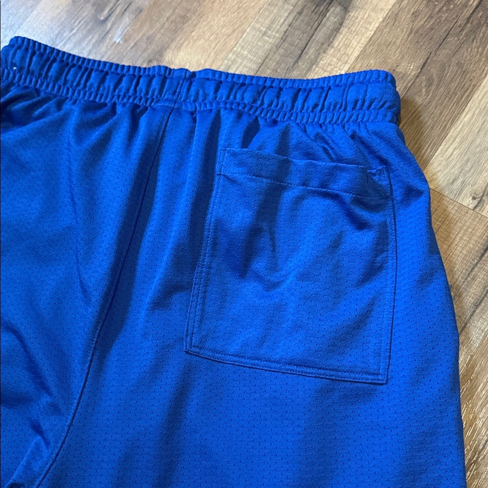 Air Jordan Mesh Shorts View 4